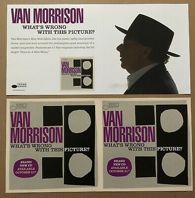 Van Morrison Rare 2003 Double Sided Promo Poster Flat For What’s Cd 24x12 Mint